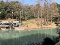 -宁波野生动物园