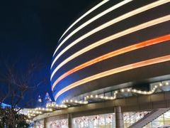 -珠海横琴长隆《卡卡虎奇遇记》