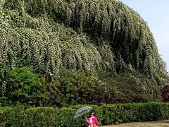 -府河摄影公园
