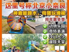 -北京鹿世界主题园
