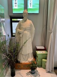 -阅年轻·AI家庭健康体质调理