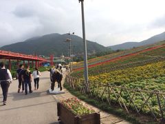iphone_upload_pic-东部华侨城
