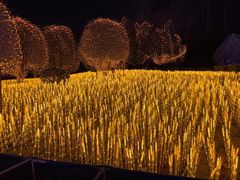 -北京园博大酒店