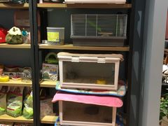 -藦茜花园宠物主题亲子互动体验馆(国顺东路店)
