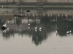 -龙舟池