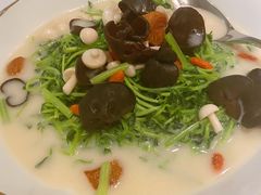 鱼汤灵芝菇云耳浸时蔬-伯衡55·吉品轩(乌鲁木齐南路店)