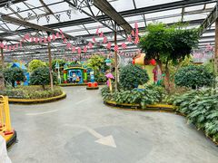 -南宫五洲植物乐园