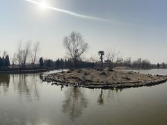 -盐城丹顶鹤湿地生态旅游区