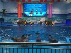 -多彩贵州城极地海洋世界