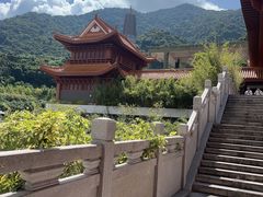 -深圳仙湖植物园