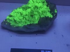 -湖南省地质博物馆