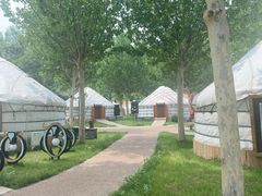 -九十九顶毡房(阜石路店)