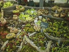 -国家植物园南园