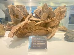-金钉子远古世界景区