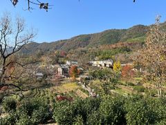 -塔川景区