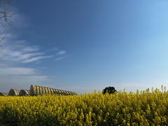 -中国天府农业博览园