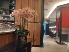 -新白鹿餐厅(松江开元地中海店)