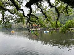 -潮镇老尾牛杂(环城西路店)