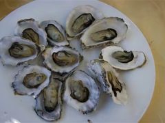-海岛渔村大酒店(云霄路店)