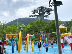 -苏州乐园森林水世界