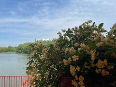 -郑州方特梦幻王国