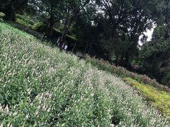 -黑龙江省森林植物园
