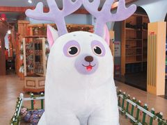 -厦门方特梦幻王国