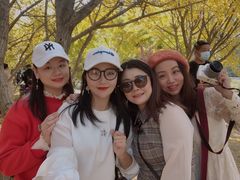 -千年银杏谷文化旅游区