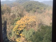 -大张烙馍村(泉山店)