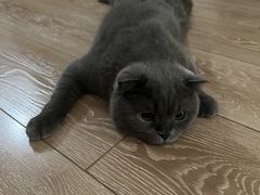 -美迦爱-牙专科·兔科·骨科诊疗中心(北苑店)