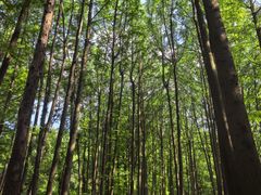 -波尔登森林公园