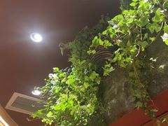 -巴奴毛肚火锅(龙湖锦艺城店)