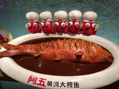 -阿五黄河大鲤鱼(英协路店)