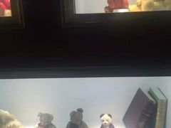 -成都泰迪熊博物馆