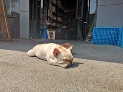 -建德食府·十八年建德菜(天目里国际街区店)