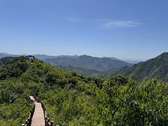 -大岭沟猕猴桃谷风景区