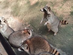 -杭州野生动物世界
