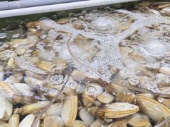 -双天海鲜楼 · 43年老字号