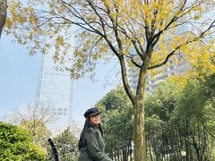 -重庆市江北嘴中央商务区中央公园