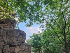 -妙峰山风景名胜区