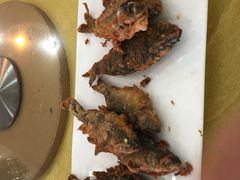 -小北江河鲜(新城店)
