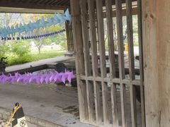 -中家鑫园温泉酒店鑫悦汤泉