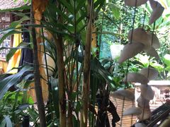 -Jungle Kitchen