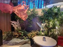 -水之梦(黄浦店)