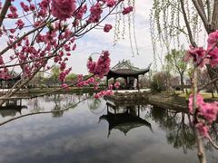 -无锡蠡湖国家湿地公园-蠡园