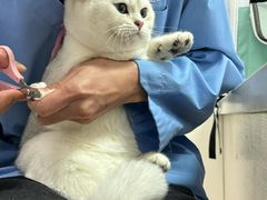 -宠颐生宠物医院·犬猫全科·皮肤科(商业街店)