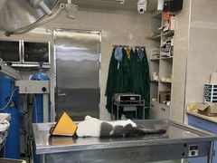 -动物缘宠物医院·骨科·猫科(西二环店)