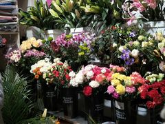 -万卉源鲜花店(百尚生活广场店)