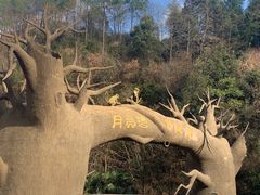 -梅岭月亮湾山体公园