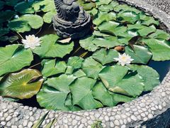 -都江堰普照寺